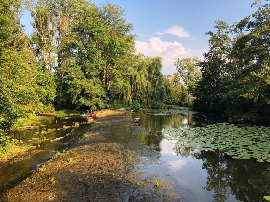 Вилла Magnifique Moulin Proche Chablis, Jacuzzi Et Riviere Annay-sur-Serein Экстерьер фото