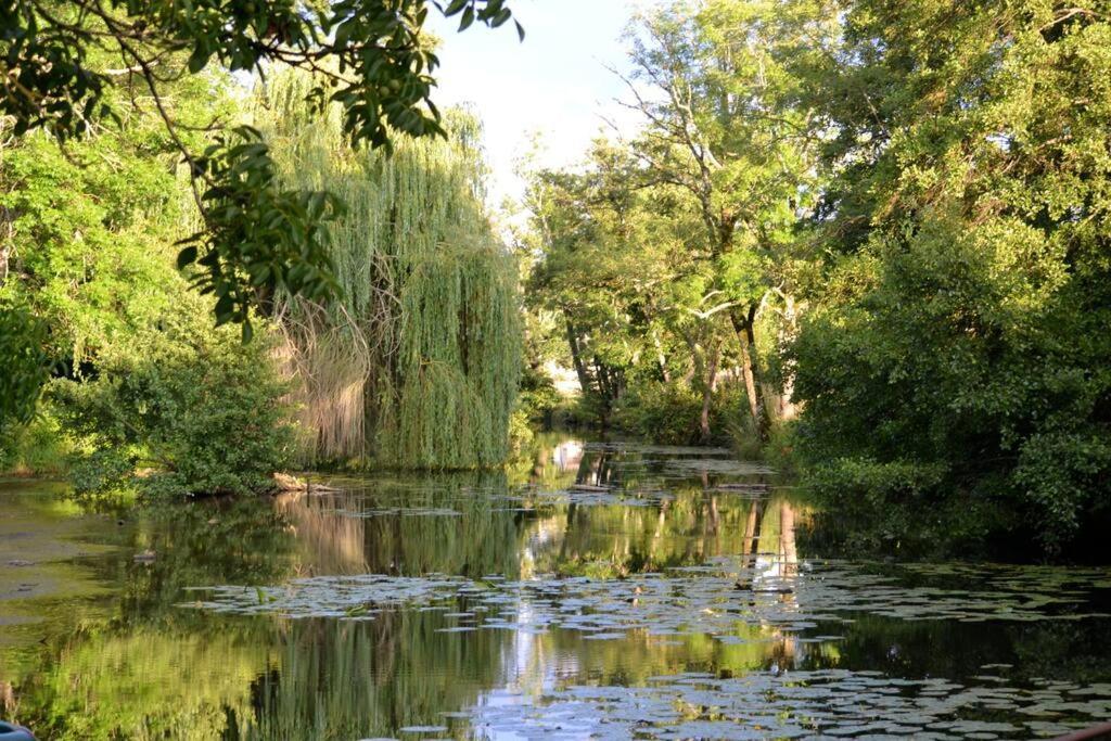 Вилла Magnifique Moulin Proche Chablis, Jacuzzi Et Riviere Annay-sur-Serein Экстерьер фото